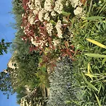 Relais Il Margarito 4*