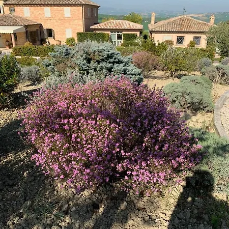 Couette-café Relais Il Margarito 4*