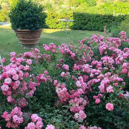 Relais Il Margarito Bed & Breakfast