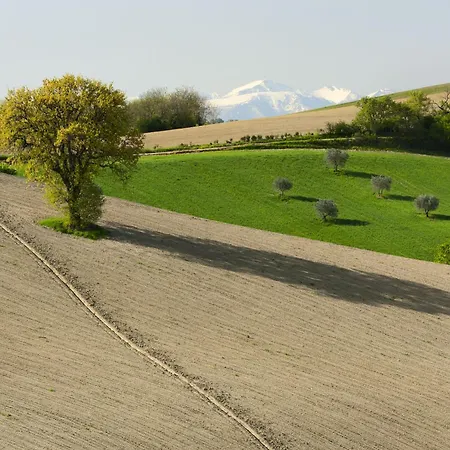 Relais Il Margarito 4*