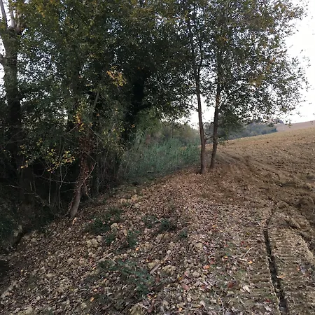 Panzió Relais Il Margarito 4*