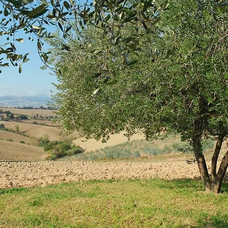 Relais Il Margarito