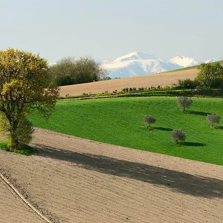 Relais Il Margarito ベッド・アンド・ブレックファスト 4*