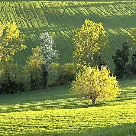 Bed and Breakfast Relais Il Margarito Montefano