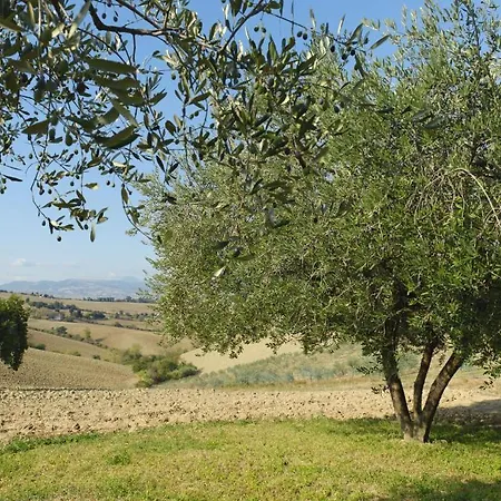 Relais Il Margarito Couette-café