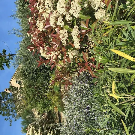 Relais Il Margarito 4*