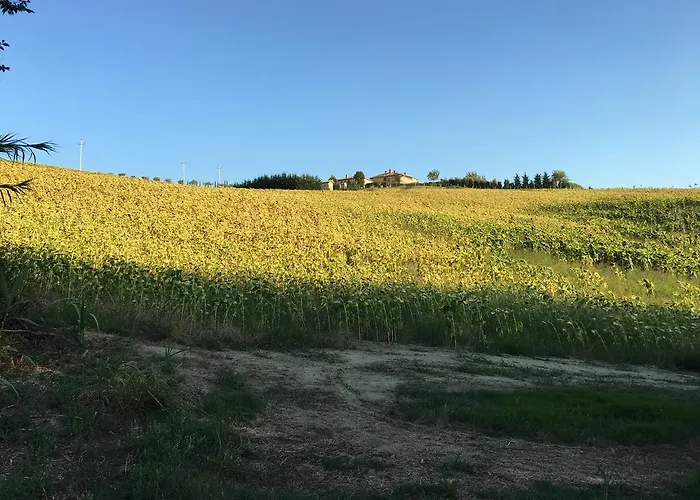 Bed & Breakfast Relais Il Margarito Montefano